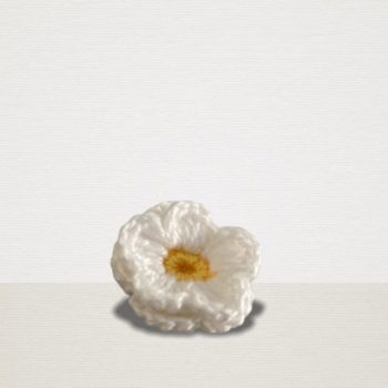 Weisse Ansteckblume mit gelber Blüte