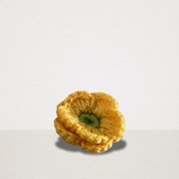 Gelbe Ansteckblume mit grüner Blüte