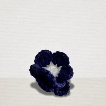 Dunkelblaue Ansteckblume mit weisser Blüte
